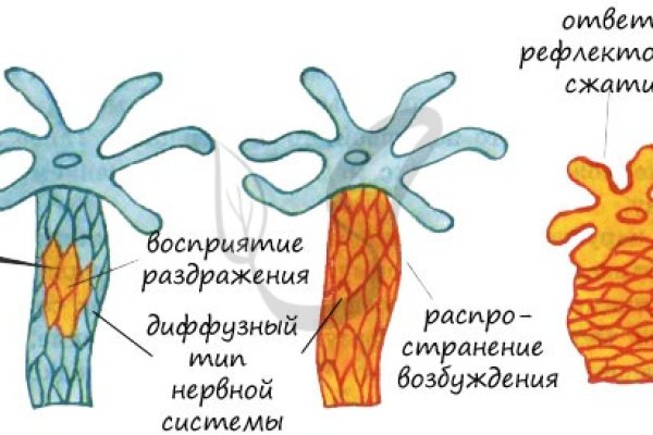 Kraken даркнет что это