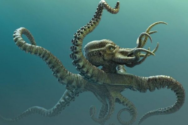 Активная ссылка на kraken