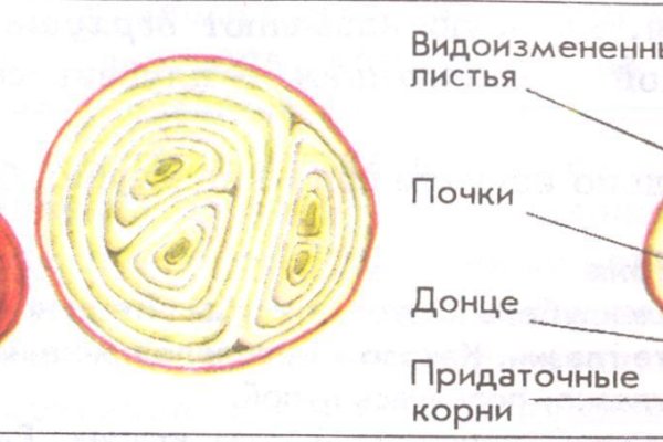 Как войти в кракен через тор