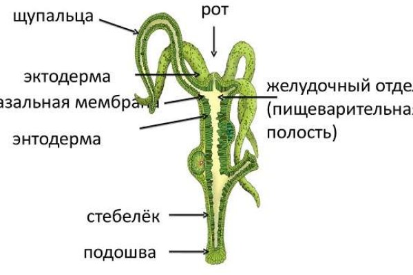 Кракен тор маркет пв